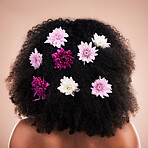 Back, hair care and beauty of black woman with flowers in studio isolated on a brown background. Curly hairstyle, floral cosmetics and female model with salon treatment for organic growth and texture