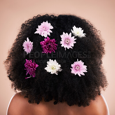Buy stock photo Back, hair care and beauty of black woman with flowers in studio isolated on a brown background. Curly hairstyle, floral cosmetics and female model with salon treatment for organic growth and texture