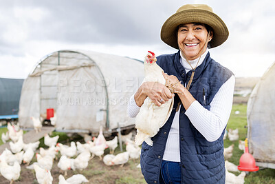 Buy stock photo Chicken farming, woman and agriculture garden on field, environment or countryside. Portrait of happy worker, poultry farmer and animal birds of sustainability, eggs production or food trade industry