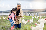 Family, farming and chicken, grandmother and child on farm in Mexico, feeding livestock with poultry and agriculture. Senior woman, girl and farmer on field in countryside, nutrition and sustainable