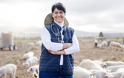 Buy stock photo Veterinarian portrait, pig or happy woman with animals to check livestock wellness or agriculture on farm. Smile, face or senior person working to protect pigs healthcare for barn or sustainability