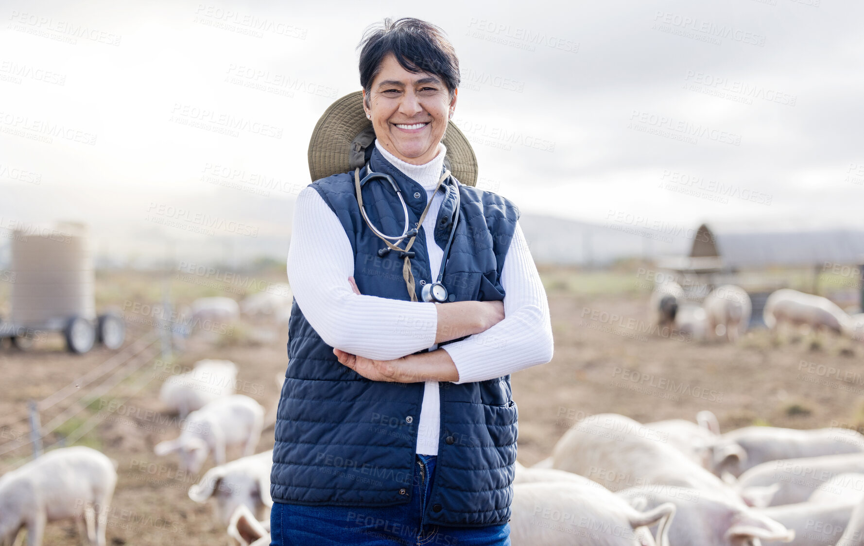 Buy stock photo Veterinarian portrait, pig or happy woman with animals to check livestock wellness or agriculture on farm. Smile, face or senior person working to protect pigs healthcare for barn or sustainability