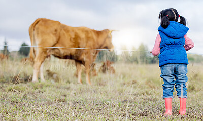 Buy stock photo Agriculture, cow and a girl from the back looking at cattle on an agricultural field for sustainability or dairy farming. Children, farm and livestock with a little kid outdoor alone on a beef ranch