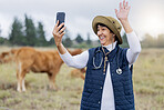 Cow selfie, video call and vet in countryside with cows on a field for animal healthcare. Happiness, mobile and social media streaming of a mature farmer on the grass with cattle for milk production 