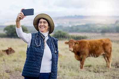 Buy stock photo Cow selfie, vet and countryside cows with a animal healthcare worker on a field. Happiness, mobile and social media streaming of a mature farmer on the grass with cattle for milk production outdoor