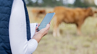 Buy stock photo Hands, phone or veterinarian on farm to check cattle livestock wellness or animals natural environment. Website, internet data or person reading news or networking online to protect cows healthcare 