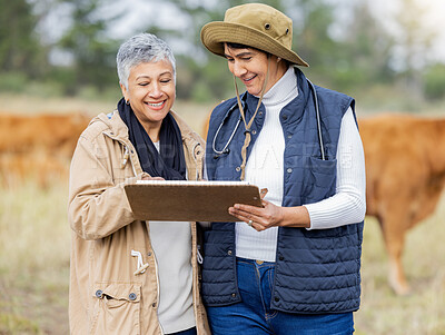 Buy stock photo Vet, cow or senior farmer with checklist for animals healthcare wellness or agriculture on grass field. Happy people working in countryside barn farming steak meat livestock or cattle beef production