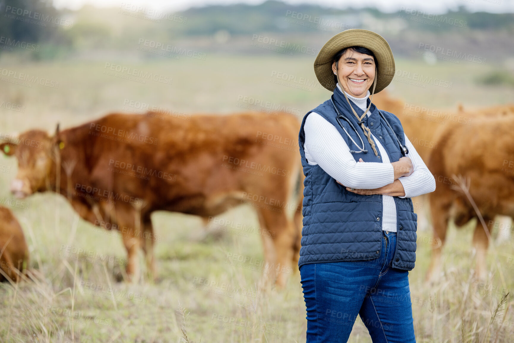 Buy stock photo Agriculture, cows and vet portrait of woman happy with cattle health, free range management and agro industry. Veterinary, farming expert and proud farmer person with animal growth in countryside
