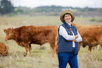 Buy stock photo Cows, vet and portrait of farmer woman for agriculture health, cattle or free range management in food industry. Veterinary, farming expert and proud mature person with agro animal in countryside
