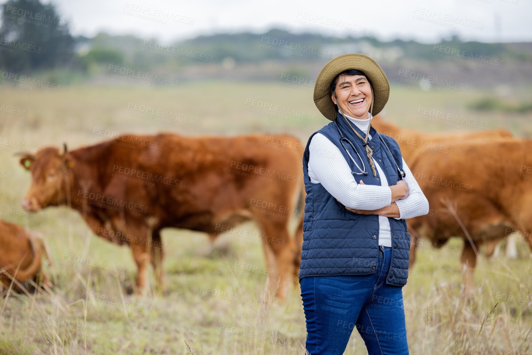 Buy stock photo Cows, vet and portrait of farmer woman for agriculture health, cattle or free range management in food industry. Veterinary, farming expert and proud mature person with agro animal in countryside
