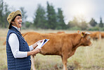 Farm, veterinary for cow and woman with clipboard for inspection, checklist and animal wellness. Agriculture, healthcare and happy senior vet working in countryside, cattle farming and livestock