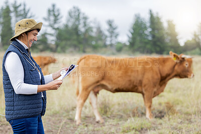 Buy stock photo Agriculture, cow veterinary and woman with clipboard for inspection, checklist and animal wellness. Farm, healthcare and happy senior vet working in countryside, cattle farming and rural livestock