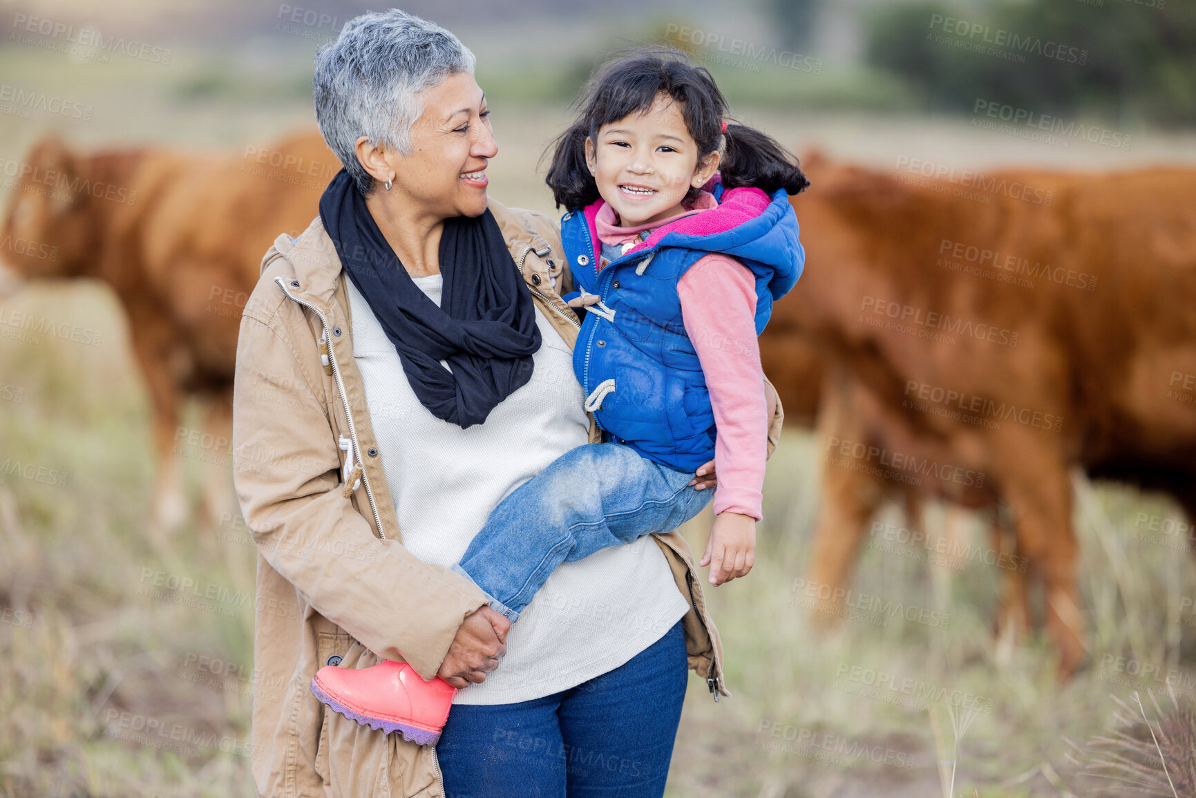 Buy stock photo Grandmother, happy girl portrait and nature with cows and senior woman in the countryside. Outdoor field, hug and elderly female with child on a family adventure on vacation with happiness and fun 