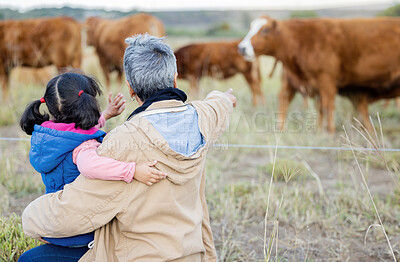 Buy stock photo Grandmother, girl back and cows on a walk with kid and senior woman in the countryside. Outdoor field, grass and elderly female with child on a family farm on vacation with happiness and fun 