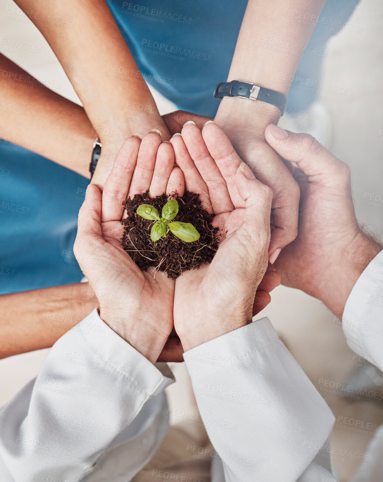 Buy stock photo Group, hands support and seedling plant for doctors, teamwork or growth in medical career with mission. Doctor, nurse and top view of hand circle for solidarity, healthcare or team building for trust