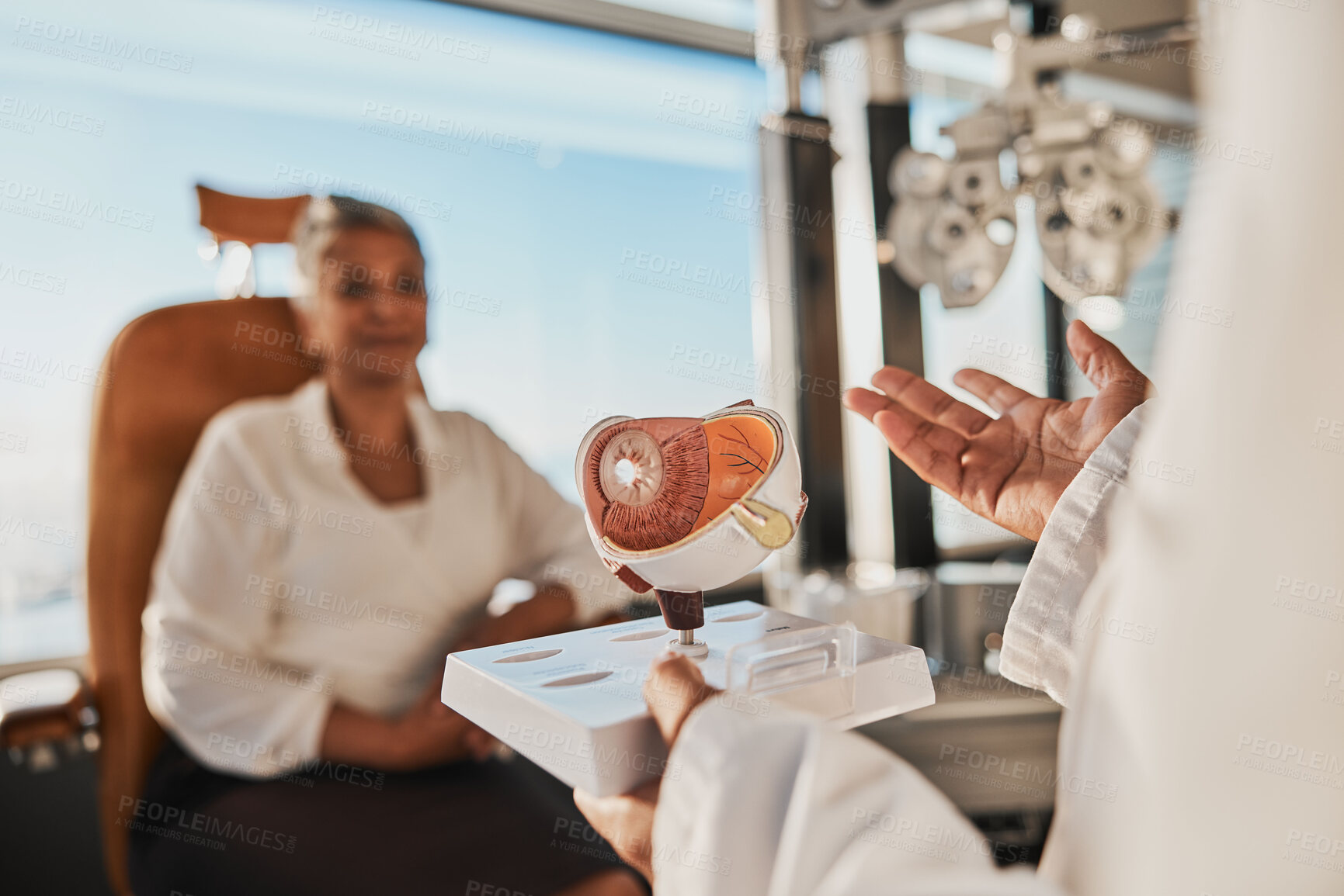 Buy stock photo Eye anatomy model, doctor consultation and eyes exam for senior health in a clinic. Optometrist, elderly woman patient and consulting healthcare worker explaining vision test results for elder care