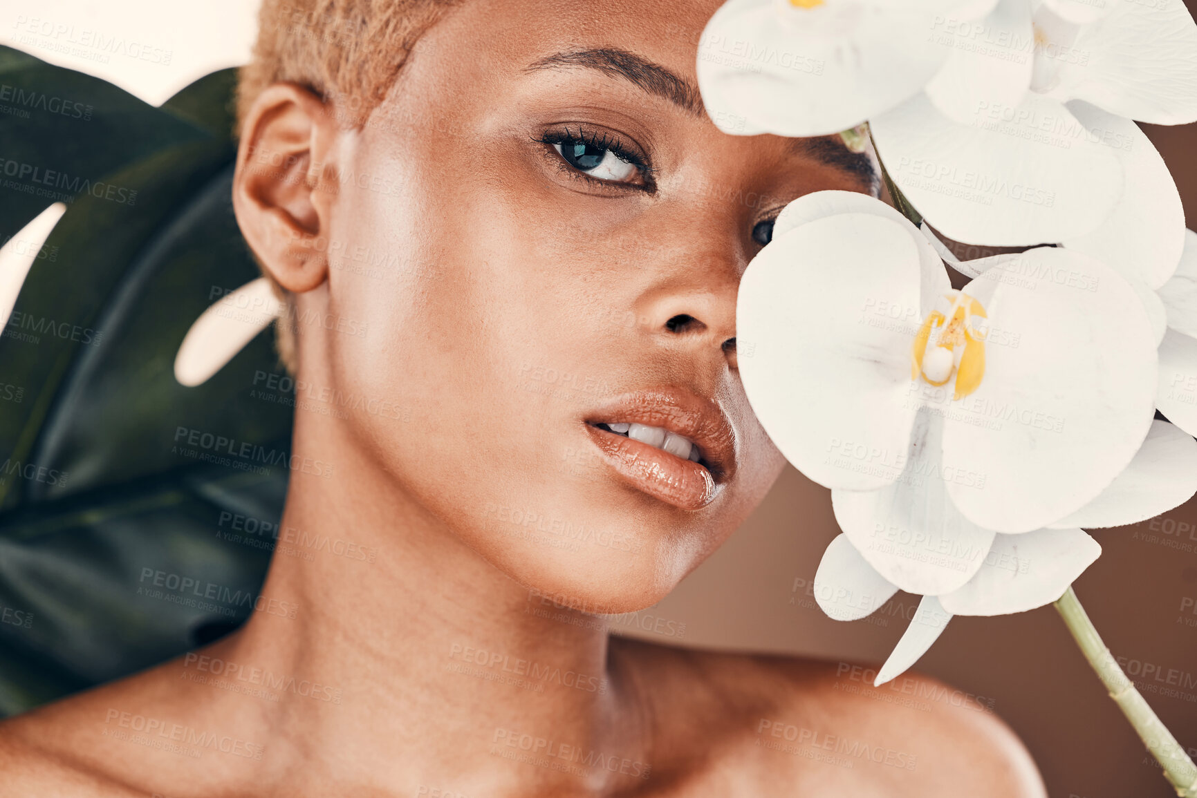 Buy stock photo Flower, portrait and black woman with cosmetics, dermatology and treatment for wellness and confidence. Face, female and lady with plant, orchid and natural care for luxury, healthy and smooth skin