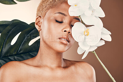 Buy stock photo Orchid flower, plant skincare and calm black woman with spa aesthetic for luxury and wellness. Beauty, studio and cosmetics of a young model with plants for organic facial and dermatology treatment