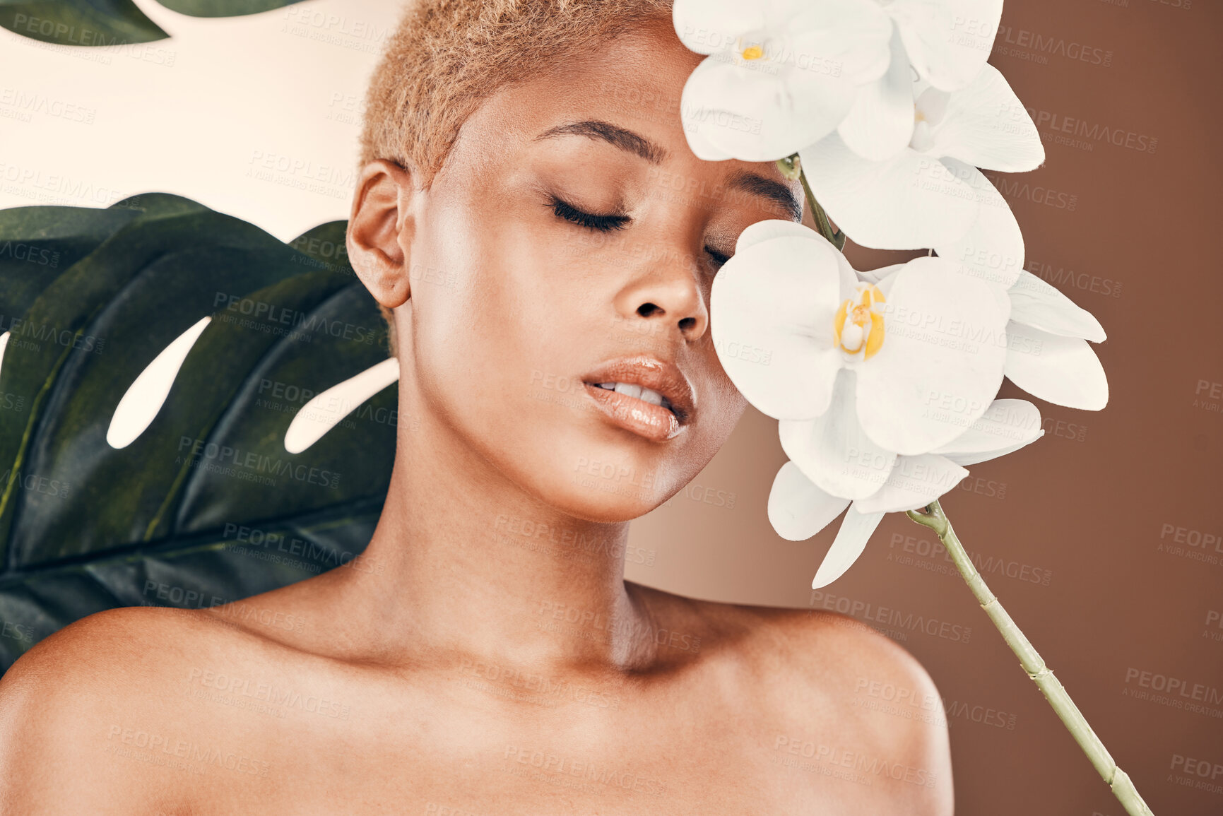 Buy stock photo Orchid flower, plant skincare and calm black woman with spa aesthetic for luxury and wellness. Beauty, studio and cosmetics of a young model with plants for organic facial and dermatology treatment