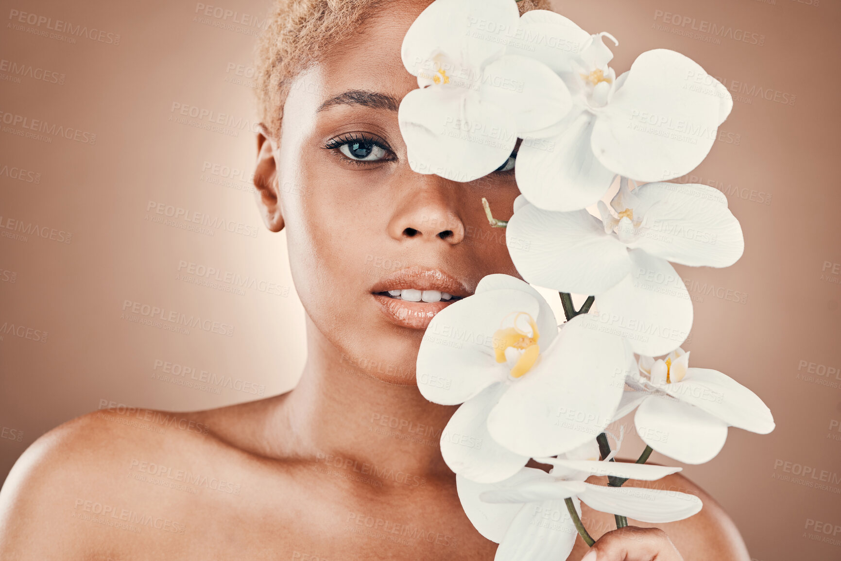 Buy stock photo Orchid flower, beauty portrait and black woman with spa aesthetic for luxury and wellness. Skincare, studio and cosmetics of a young model with flowers for organic facial and dermatology treatment