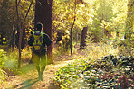 Hiker, backpacker and hiking in nature forest, trekking woods or trees for adventure, relax workout or fitness exercise. Behind man, walking or person in environment, healthcare or morning wellness