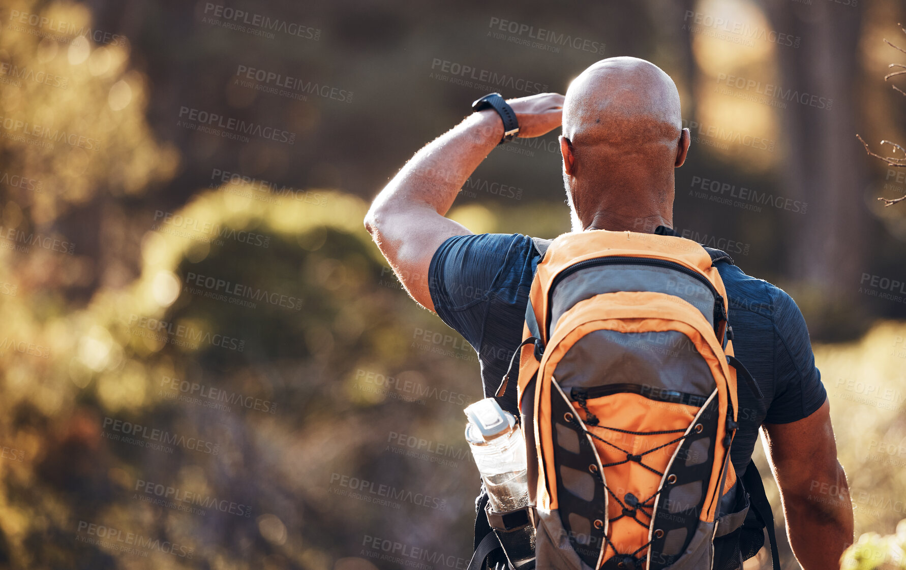 Buy stock photo Health, hiking and fitness with black man in forest for sports, training and workout. Relax, peace and freedom with hiker trekking in nature enjoying view for travel, adventure and environment  