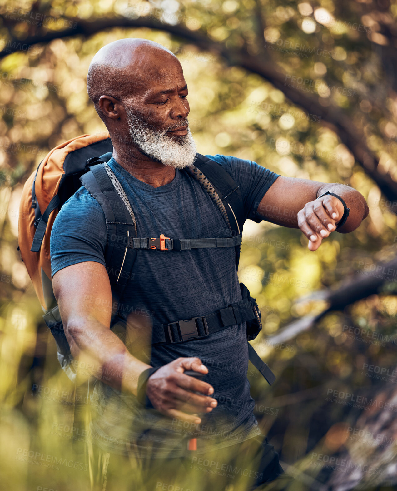 Buy stock photo Hiking, man and watch on adventure in nature forest for trekking, fitness and cardio exercise. Senior black person with backpack while walking outdoor in woods for travel, health and wellness