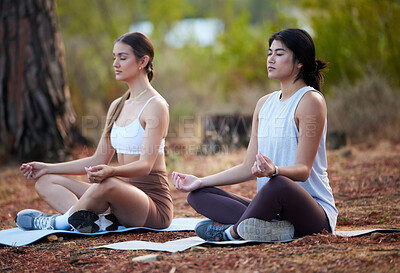 Buy stock photo Meditation, outdoor and women exercise in nature for fitness, peace and wellness. Yoga friends on forest ground for lotus workout, training and energy for mental health, chakra and zen mind or time