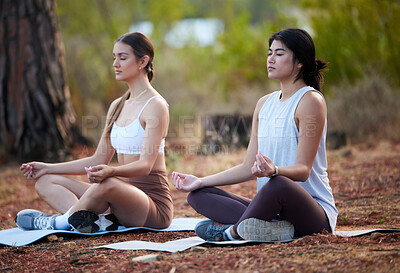 Yoga, outdoor meditation and women exercise in nature for fitness