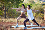 Yoga, nature and women exercise for fitness, peace and wellness outdoor. Friends or people in forest for warrior workout, training and energy for mental health, chakra and zen stretching and balance
