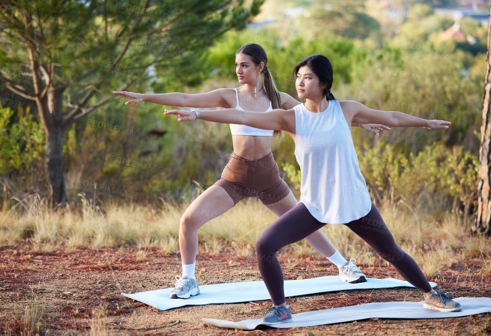 Buy stock photo Yoga, nature and women exercise for fitness, peace and wellness outdoor. Friends or people in forest for warrior workout, training and energy for mental health, chakra and zen stretching and balance