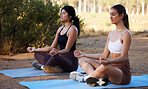Yoga, outdoor meditation and women exercise in nature for fitness, peace and wellness. People or friends on forest ground for lotus workout and energy for mental health, chakra and zen mind or time