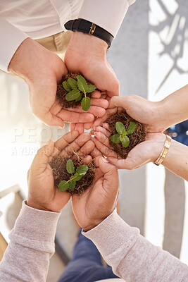 Buy stock photo Plant in group hands or women palm for earth day gardening, startup growth and sustainable business. Eco friendly, community hope and people teamwork with hand holding soil above for a green project