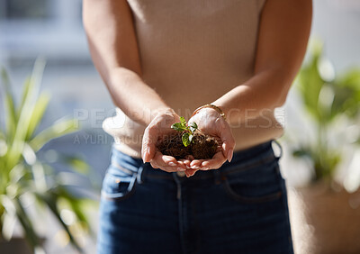 Buy stock photo Plant in woman hands or palm on earth day, sustainability and gardening with growth hope, sustainable career and invest. Eco friendly, investment and person hand holding soil in green project startup