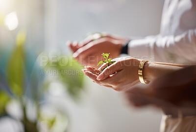 Buy stock photo Plants in group hands for business growth, eco friendly development and sustainability in green startup project. People palm closeup with sapling soil for sustainable investment and climate change