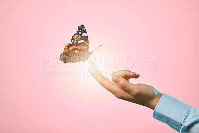 Butterfly, studio and hand with insect and lens flare in isolated pink background. Bright, bug and woman hands with nature and spring aesthetic with light glow and bugs with advertisement space
