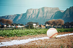 Sports mockup, baseball field and ball on ground ready for game, practice and competition outdoors. Fitness, copy space and softball equipment on chalk for exercise, training and workout in match