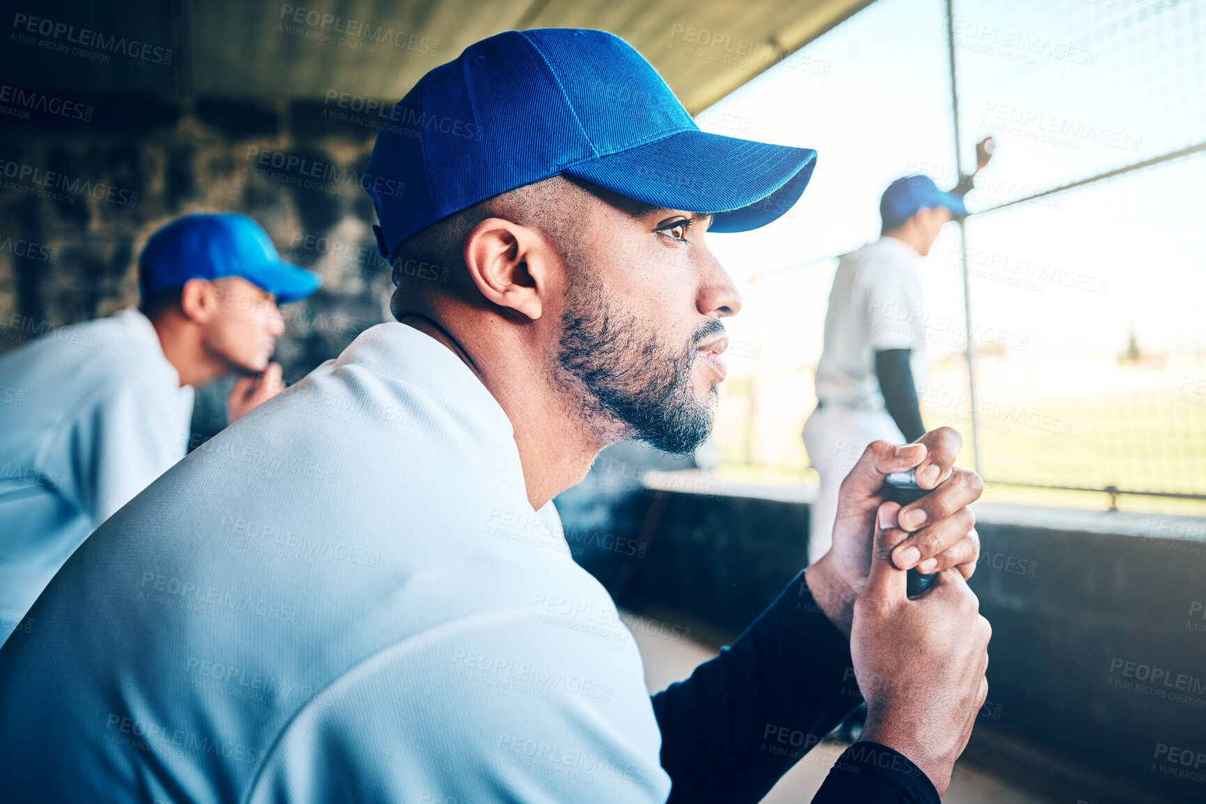 Buy stock photo Baseball player profile, stadium dugout and sport training of a athlete looking at game. Summer sports, teamwork and workout of a person with softball group with focus on professional event outdoor