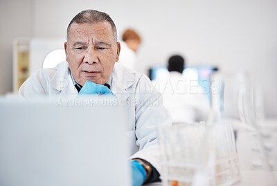 Buy stock photo Science, laptop and senior man with focus, online reading and check experiments results in laboratory. Research, male researcher and scientist with device, thinking or update sample for data analysis