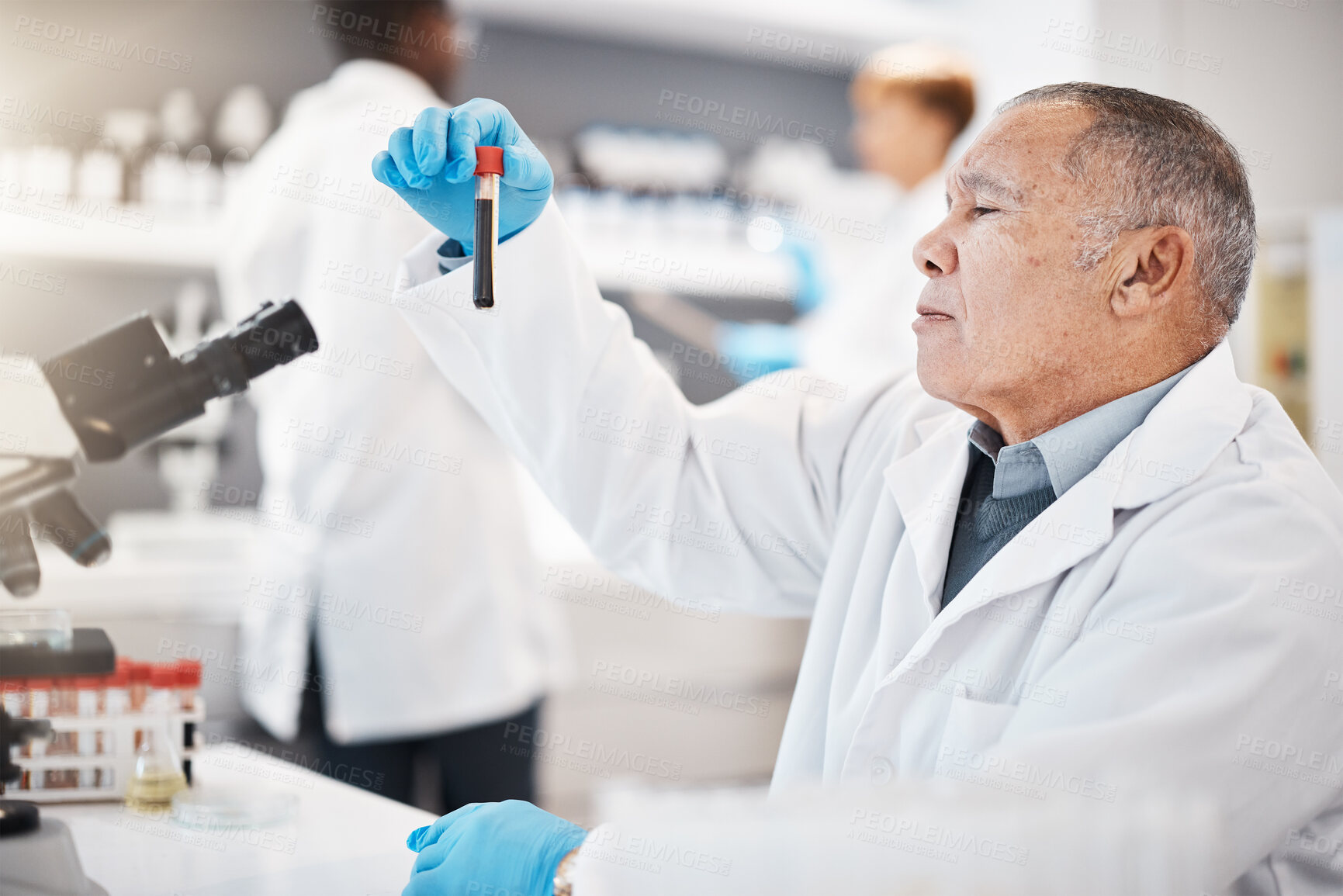 Buy stock photo Blood, science and senior scientist in laboratory with sample for research, medical study and investigation. Healthcare, pharmaceutical and old man with vial for dna testing, biology and rna analysis