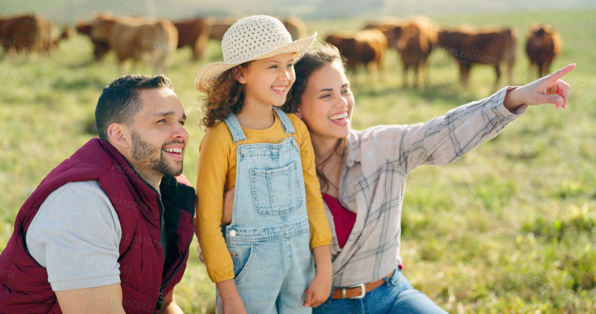 Buy stock photo Cattle, parents and child pointing in field for farming in countryside with agriculture, love and happiness in nature together. Family farm, small business and mom, dad and girl on grass with cows.