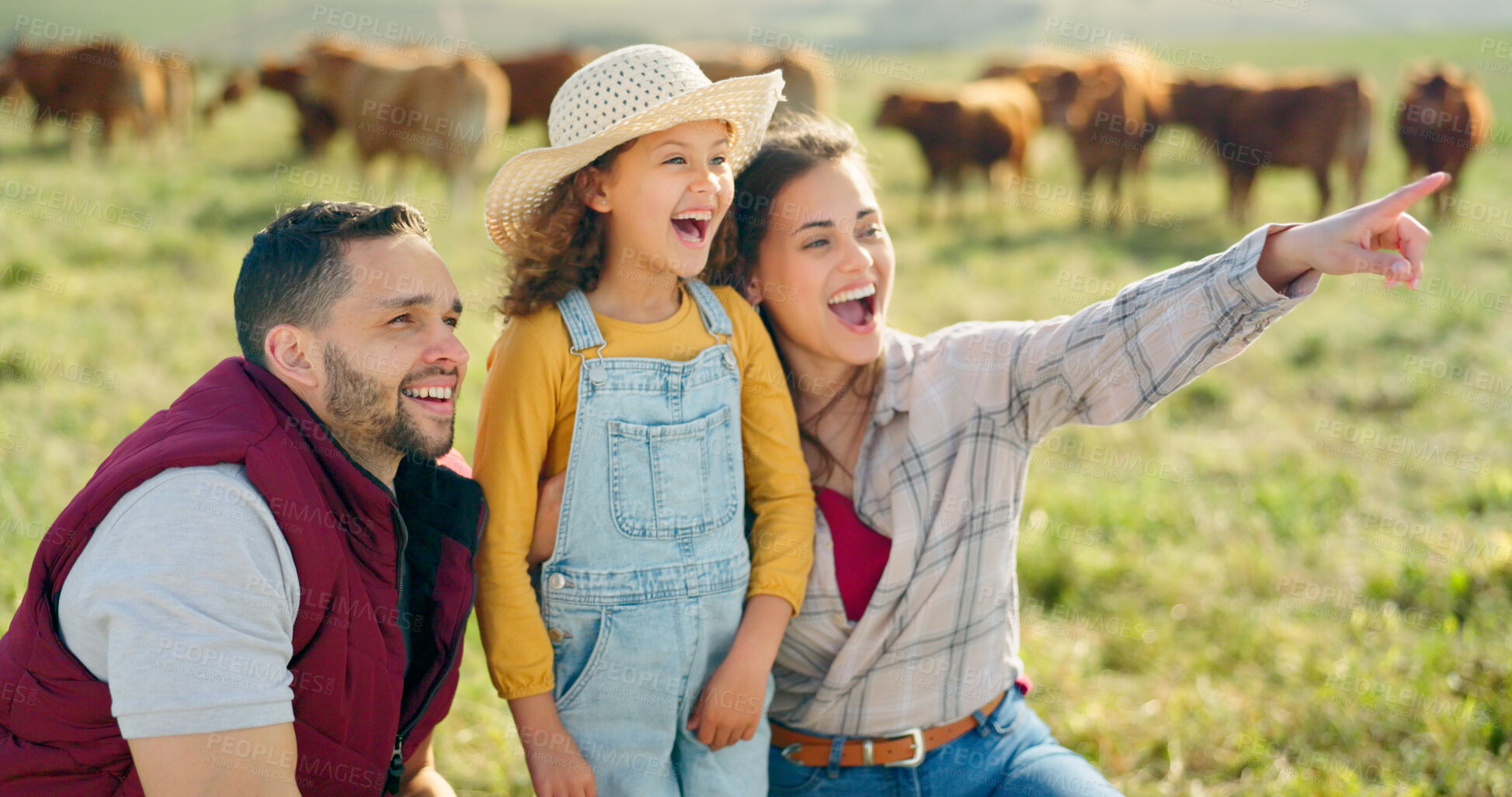 Buy stock photo Agriculture, excited and cows with family on farm for sustainability, environment and livestock industry. Learning, nature and love with parents and child in countryside field for animals and health