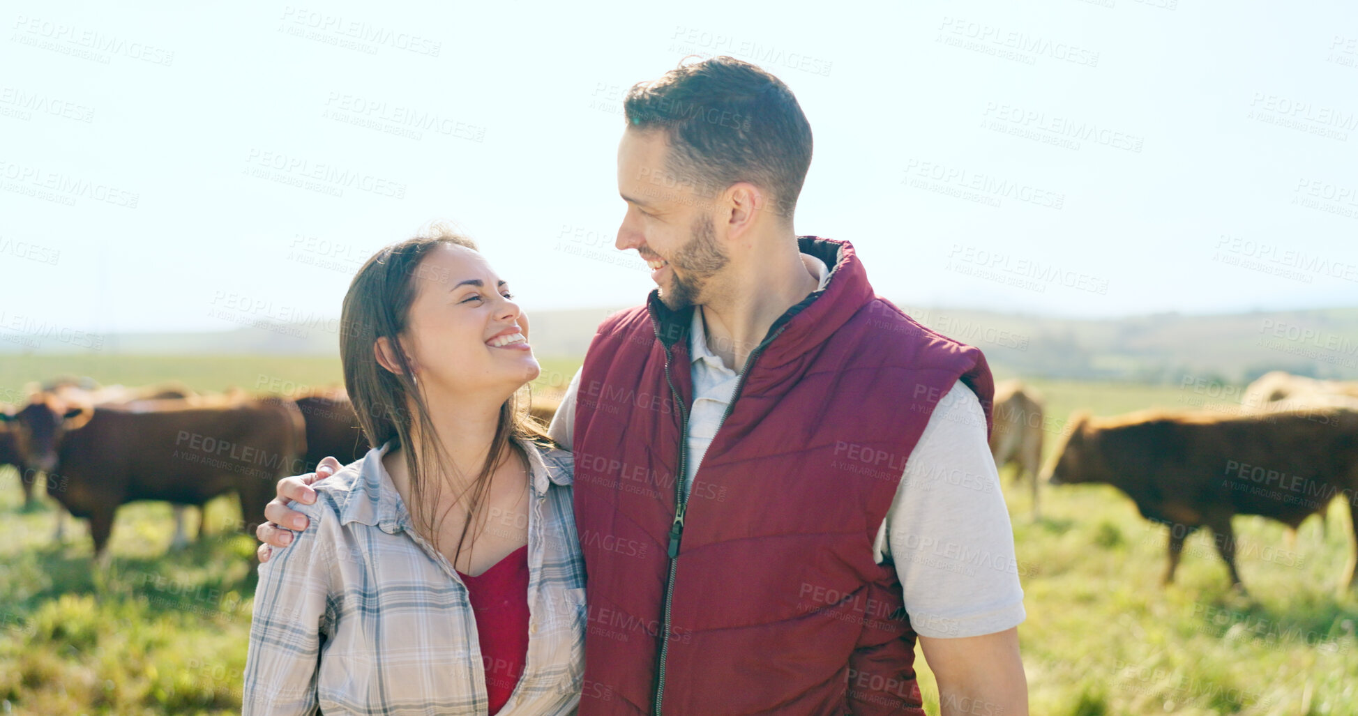 Buy stock photo Agriculture, love and a couple on a dairy farm with cows on a field for sustainability or conservation. Smile, farming or cattle or beef with a man and woman in the green countryside together