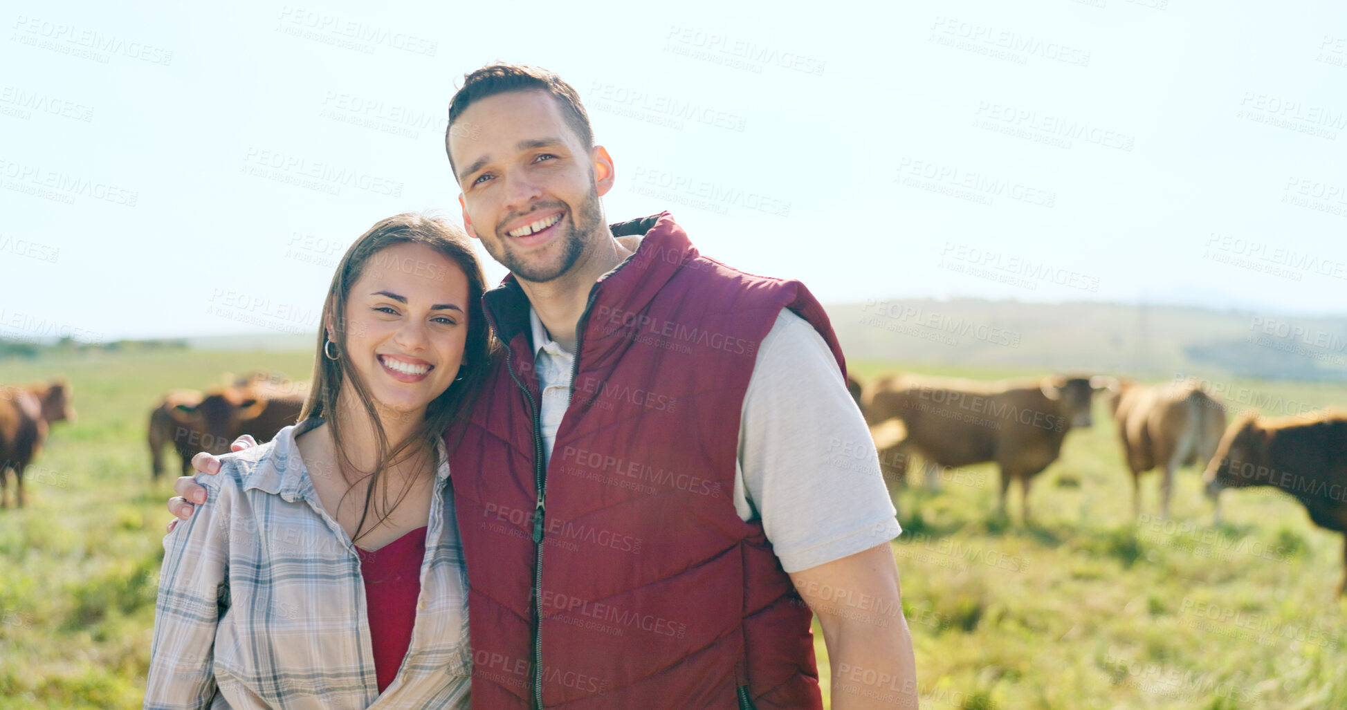 Buy stock photo Agriculture, portrait and a couple on a dairy farm with cows on a field for sustainability or conservation. Love, farming or cattle or beef with a man and woman in the green countryside together