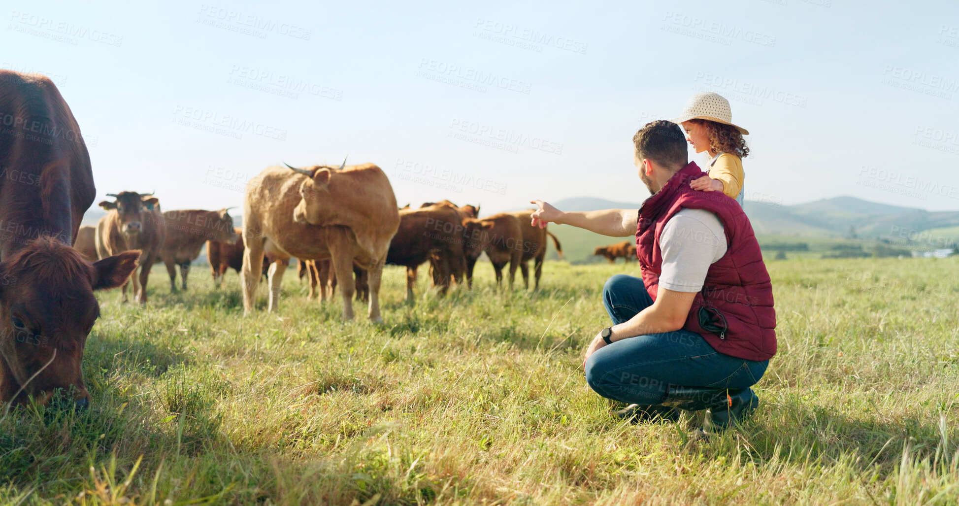 Buy stock photo Agriculture, nature and cows with family on farm for sustainability, environment and livestock industry. Learning, happy and love with parents and child in countryside field for animals and health
