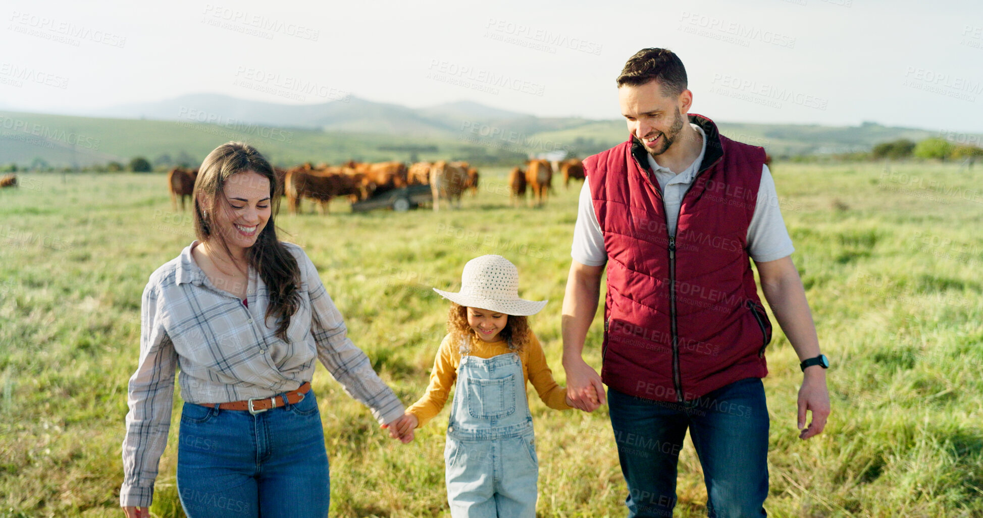 Buy stock photo Cattle in field, parents and child holding hands, farming in countryside and agriculture with love, support and nature. Happy family farm, small business and mom, dad and girl walk on grass with cows