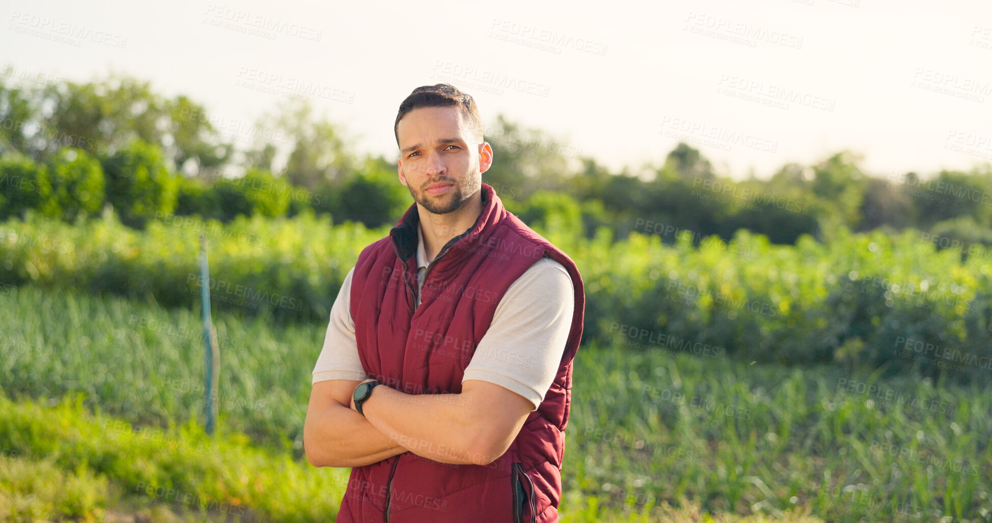 Buy stock photo Farmer, portrait and man with arms crossed in countryside, field or grass on land of sustainable, eco friendly agriculture or farm. Farming, work or agribusiness entrepreneur outdoor in rural nature