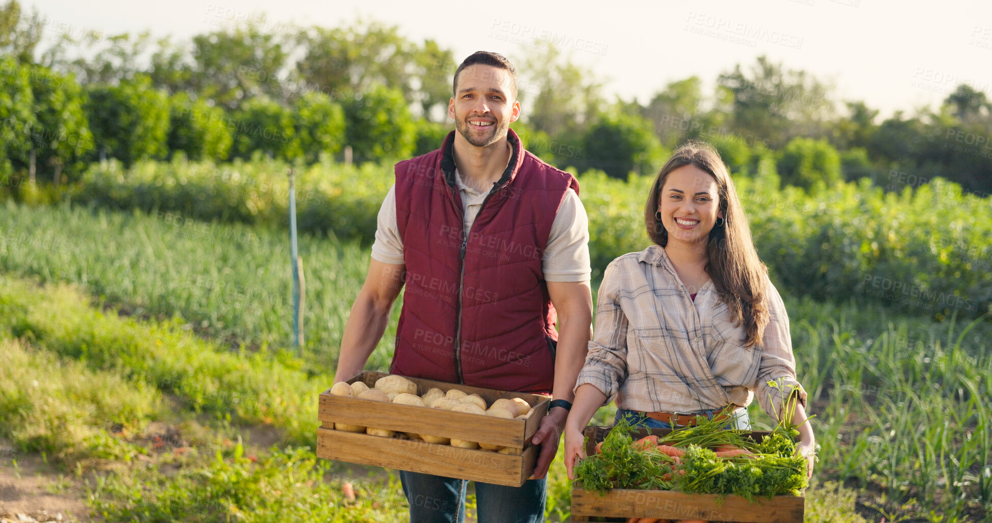 Buy stock photo Farmer couple, vegetables box and farming, agriculture or small business owner for food market production and supply chain. People, seller or supplier in portrait for green product and harvest basket