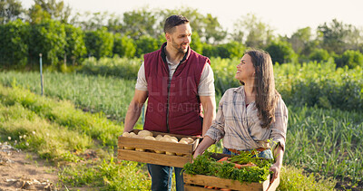 Vegetables box, agriculture and farmer couple portrait in countryside lifestyle, food market production and supply chain. Agro business owner people, seller or supplier with green product harvest