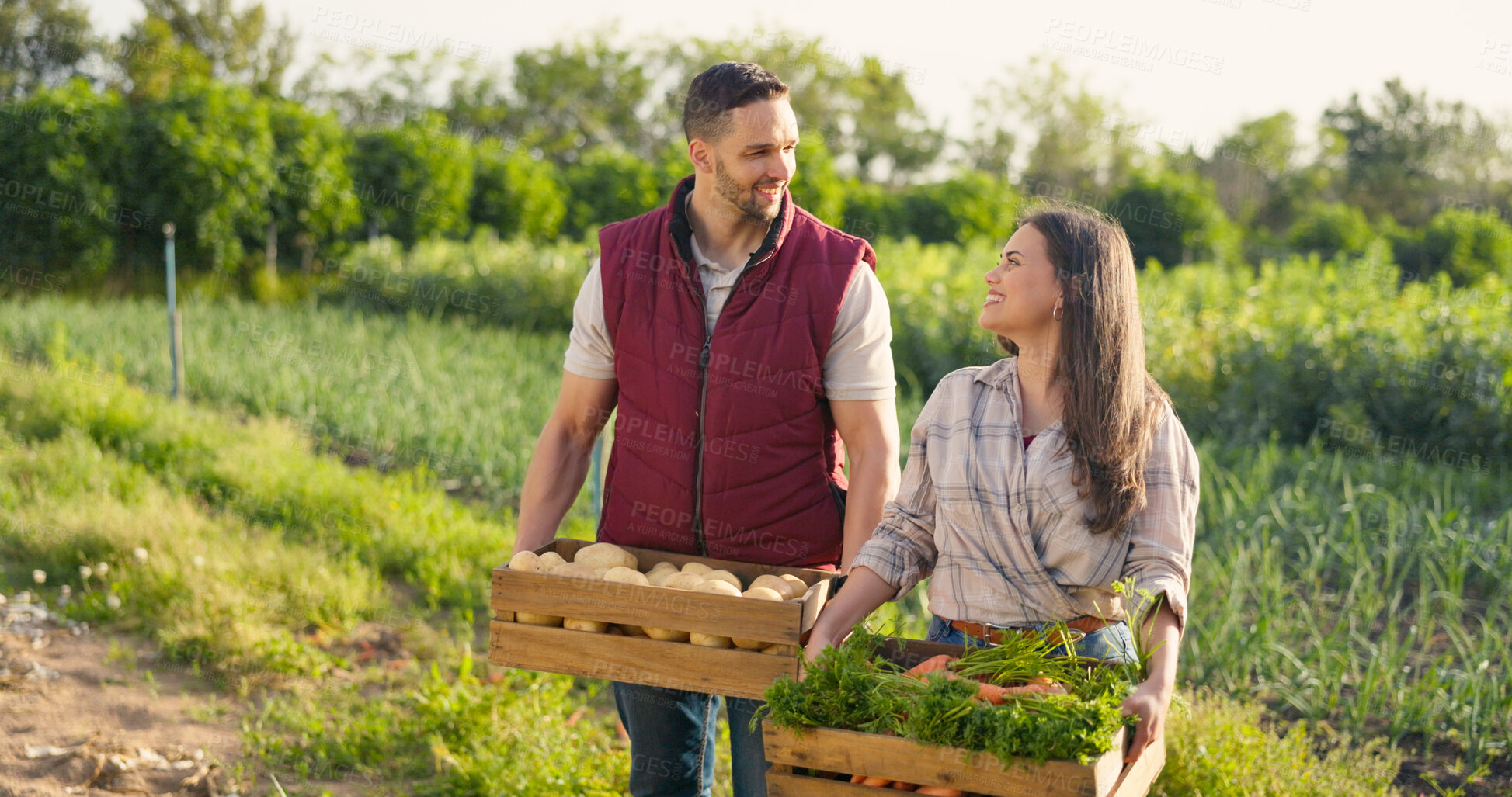 Buy stock photo Farmer couple, vegetables box and agriculture teamwork, farming and small business owner for food production and supply chain. People, seller or supplier talking of green product with harvest basket